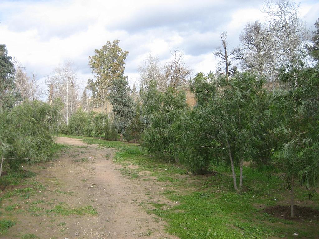 LE TELAGH Le Bosquet  04.jpg